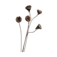 thumbnail image 1 of Ramo de flores secas para jarrón, arreglo floral DIY, rústico, elegante, planta seca Estilo G, 1 of 9