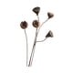 thumbnail image 1 of Flores secas para jarrón, arreglo floral de bricolaje, accesorio de fotografía, centro de mesa de plantas secas para granja, decoración de dormitorio Estilo G, 1 of 8