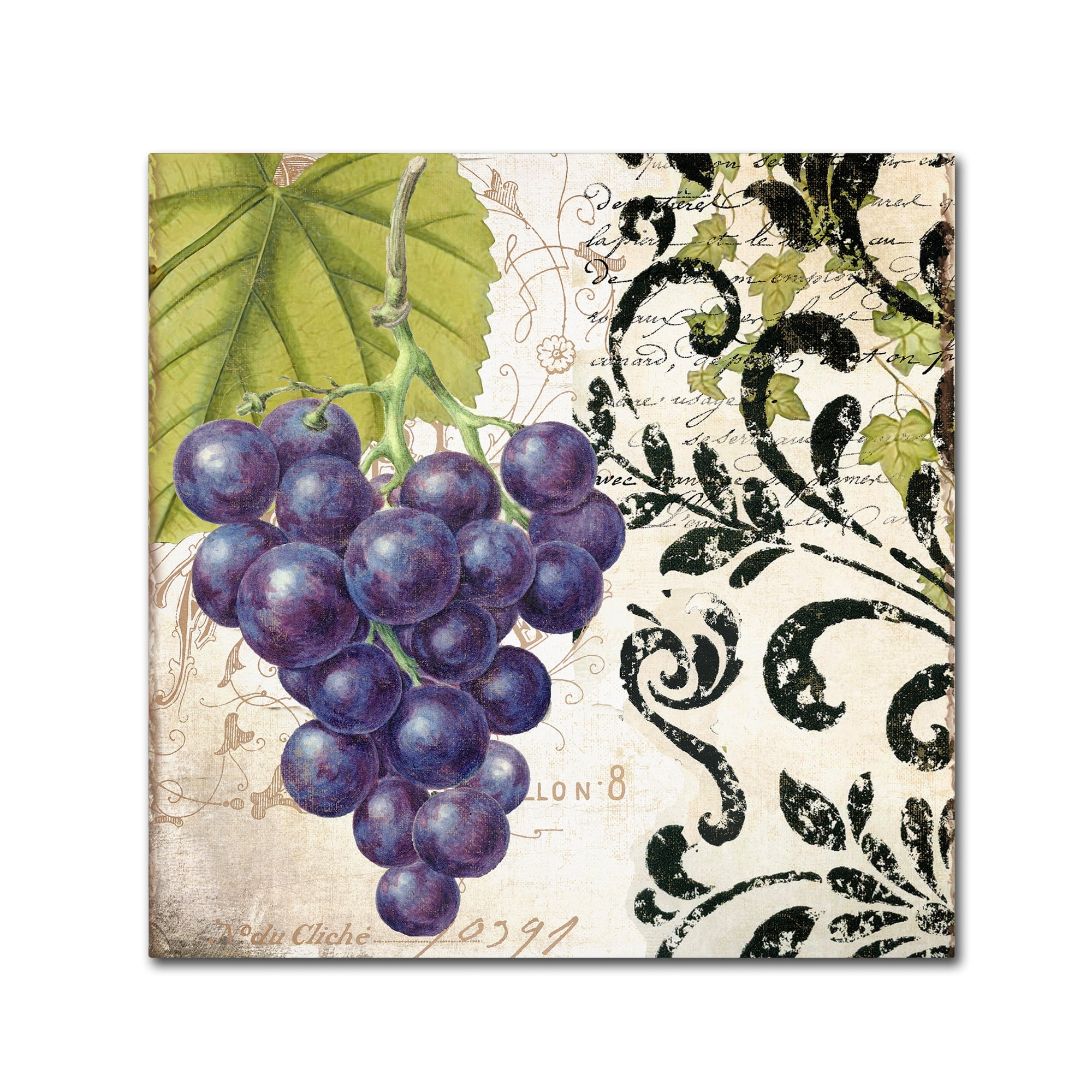 Trademark Fine Art "Les Fruits Jardin II" Canvas Art by Color Bakery