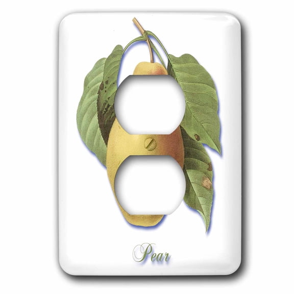 3dRose, Ripe Golden Pear Hanging on a Branch Botanical Print, 2 plug outlet cover