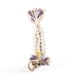 thumbnail image 4 of Soporte de planta Macarena Cesta de la suspensión de la planta Beige 88cm 95cm 83cm 81cm 105cm 70cm 62cm 90cm 101cm, 4 of 7