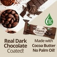 thumbnail image 6 of NuGo Organic Double Dark Chocolate Protein Bar 12 ea, 6 of 7