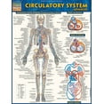 thumbnail image 2 of Circulatory System Advanced (Other), 2 of 2