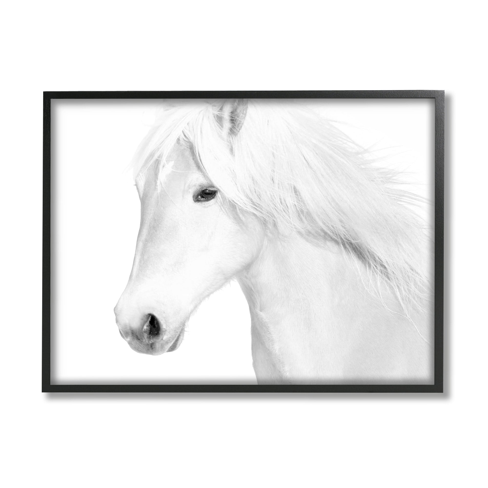 Stupell Industries White Horse Portrait Wild Stallion Modern Monochromatic Photography, 20 x 16,Design by Samantha Carter