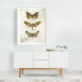 thumbnail image 2 of Butterflies VIII - Drawing Vintage Botanical Nature Rustic Floral White Framed Wall Art Print 20 x 30 inches, 2 of 3