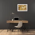 thumbnail image 3 of SMO 32x23 White Modern Wood Framed Museum Art Print Titled - Looking up into yellow Aspen trees in the Colorado Rocky Mountains, 3 of 4