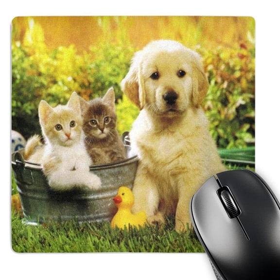 3dRose, So Cute Lab Puppy n Kittens, MousePad