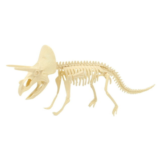 Fiudx Juguetes Esqueleto De Dinosaurio De Arqueología De Juguete De Dinosaurio Ensamblado Diy Para Niños