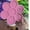 Pink, variant on Rubber Floating Outdoor Drinking Station, Portable 29.13in Inflatable Drink Holder for Pool & Lake Party, Yellow