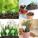 thumbnail image 4 of 12 Pack Small Synthetic Glass Watering Globes For Indoor Plants - Bulbs Drip Irrigation 2" Diameter - Pvc Self Watering Equipment For Plants Hy, 4 of 4