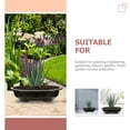 thumbnail image 3 of unbranded 4Ud Maceteros Grandes Ovalados De Plástico Para Bonsái De Jardín Interior Y Exterior Color Negro, 3 of 8