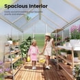 thumbnail image 4 of KING BIRD Premium 8x6FT Polycarbonate Greenhouse for Outdoors, Kuick-Setup Large Walk-in Hot Green House for Outside, Silver, 4 of 9