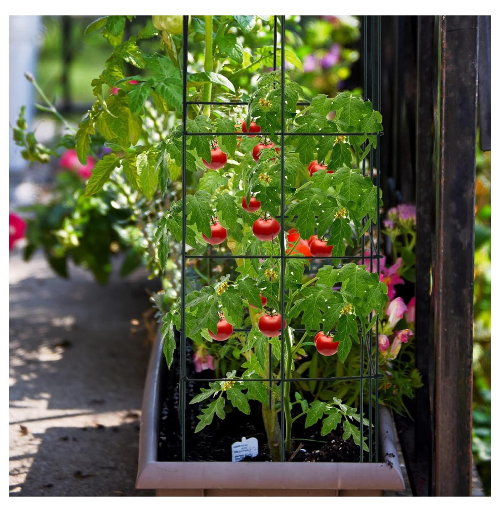 4 Pack Folding Tomato Cages, 39 Inches Tall Square Plant Support Cage for Garden Climbing Plants Flowers Fruits, Heavy Duty Tomato Vegetable Trellis