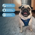 thumbnail image 5 of Voyager Step-in Air All Weather Mesh Harness and Reflective Dog 5 ft Leash Combo with Neoprene Handle, for Small, Medium and Large Breed Puppies - Blue/Black Trim, Small, 5 of 9
