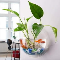 AURORA TRADE Wall Fish Bubble Wall Hanging Bowl Clear Acrylic Vase Flower Plant Pot Aquarium 5.9in with Steel Nail and Non-trace Nail
