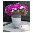 thumbnail image 2 of Acerra Composite Vase Planter with Drainage Hole, Decorative Texture, Removable Plug for Lawn and Garden, Marble, 2 of 9