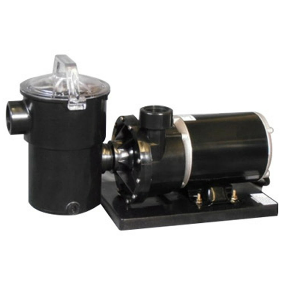 Rx Clear 2 HP Patriot Above Ground Swimming Pool Pump For Steel Wall