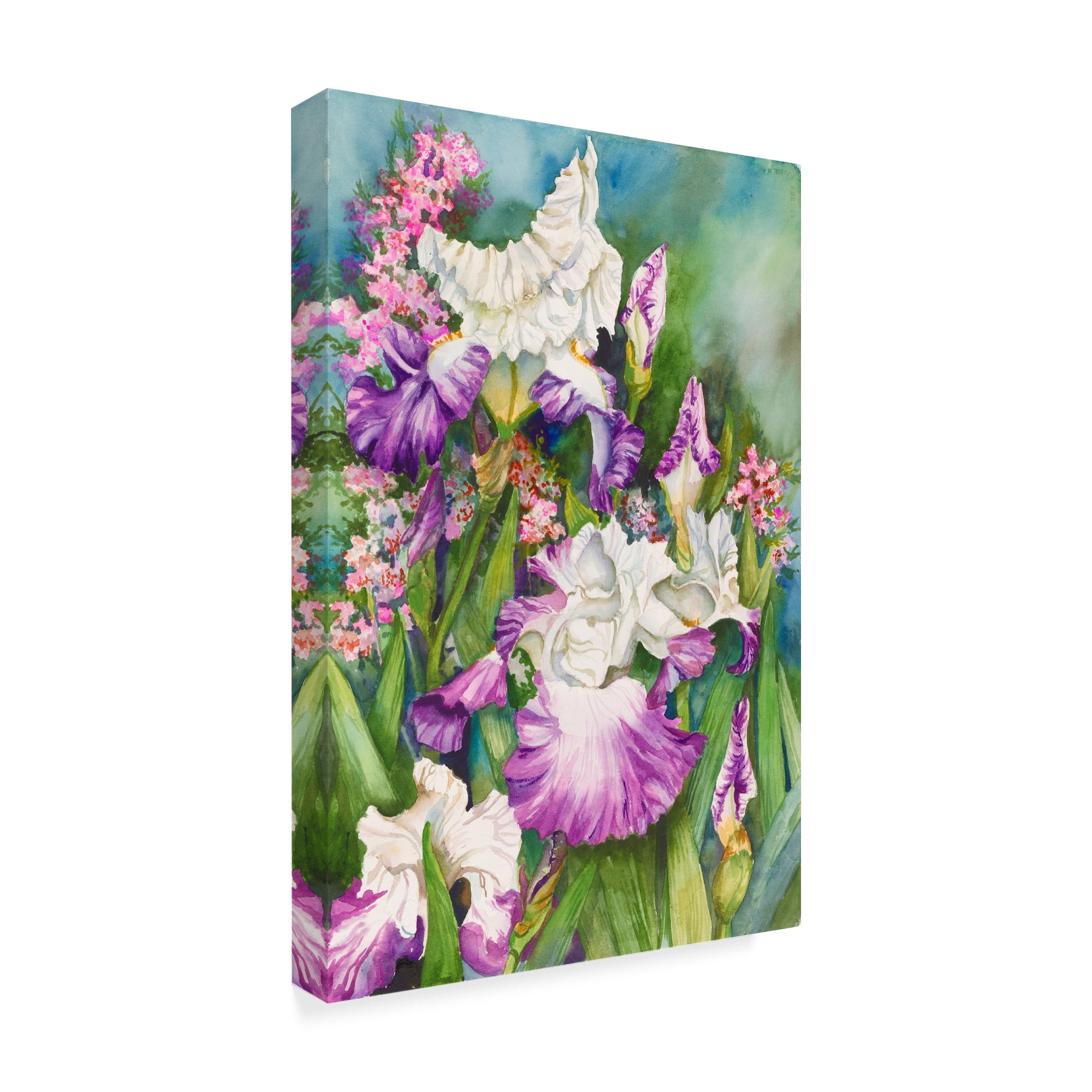 Trademark Fine Art 'Iris Garden' Canvas Art by Joanne Porter