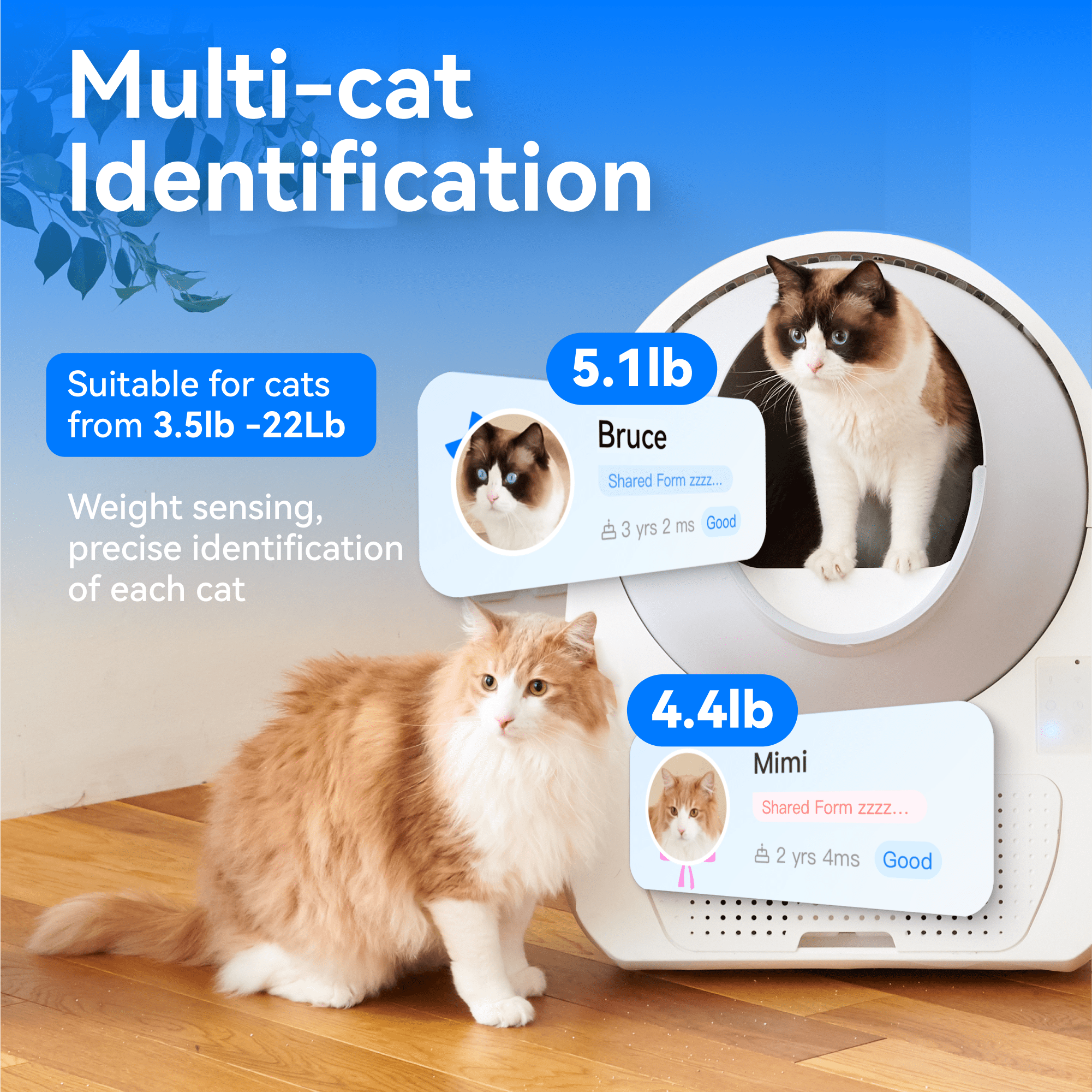 CATLINK Luxury Pro, Automatic Self Cleaning Cat Litter Box with APP, Odor Control, Health Monitoring