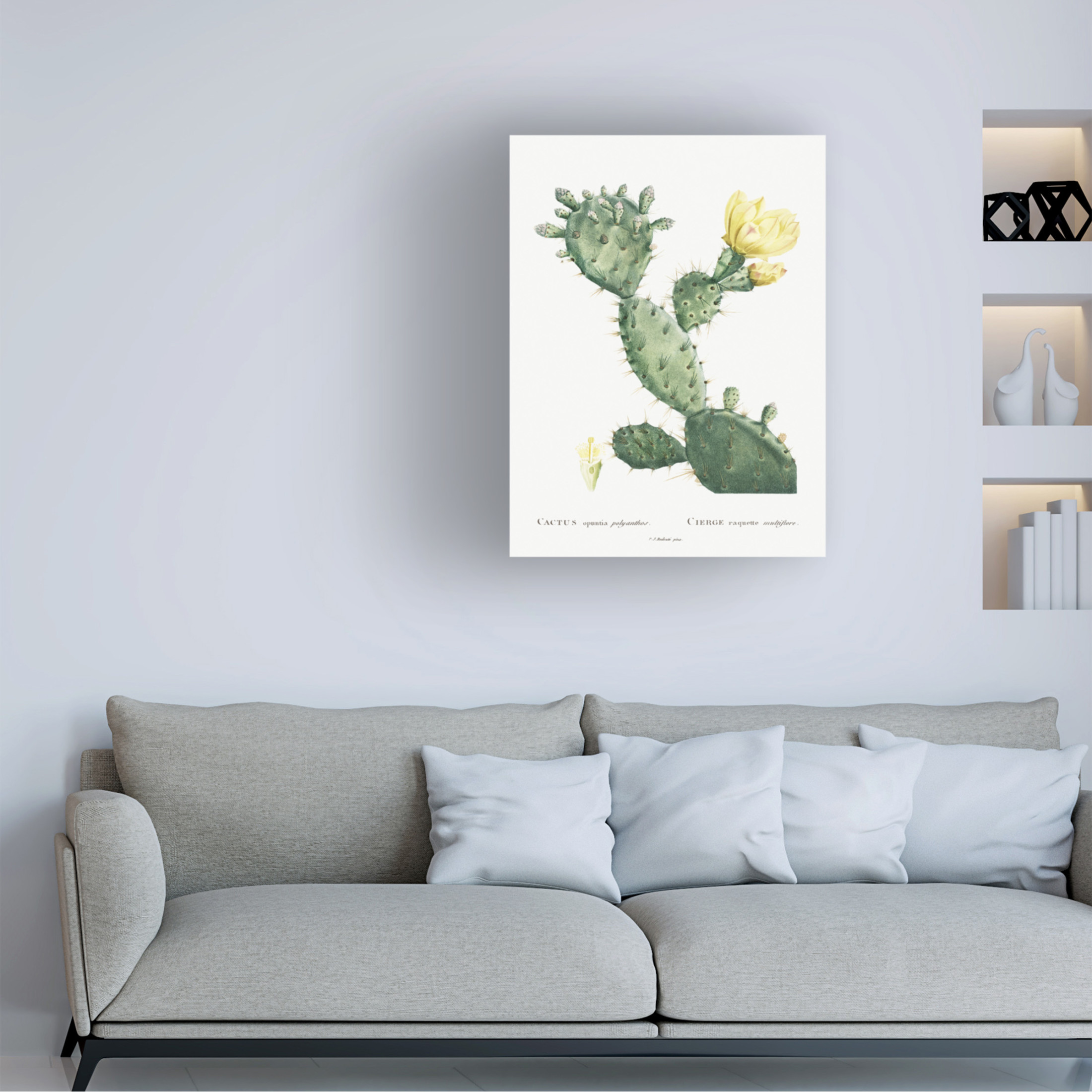 Trademark Fine Art Pierre Redoute Redoute Cactus I Canvas Wall Art