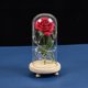 thumbnail image 1 of Flores de rosas, luces cúpula de cristal sobre Base de , modo de lámpara cálida, rojos, multifunzionale para decoraciones para /La BLESIY Cúpula de flores de rosa eterna, 1 of 6