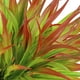 thumbnail image 3 of 6 Piezas de Plantas Artificiales Yuarrent para Decoración de Hogar Rojo, 3 of 6