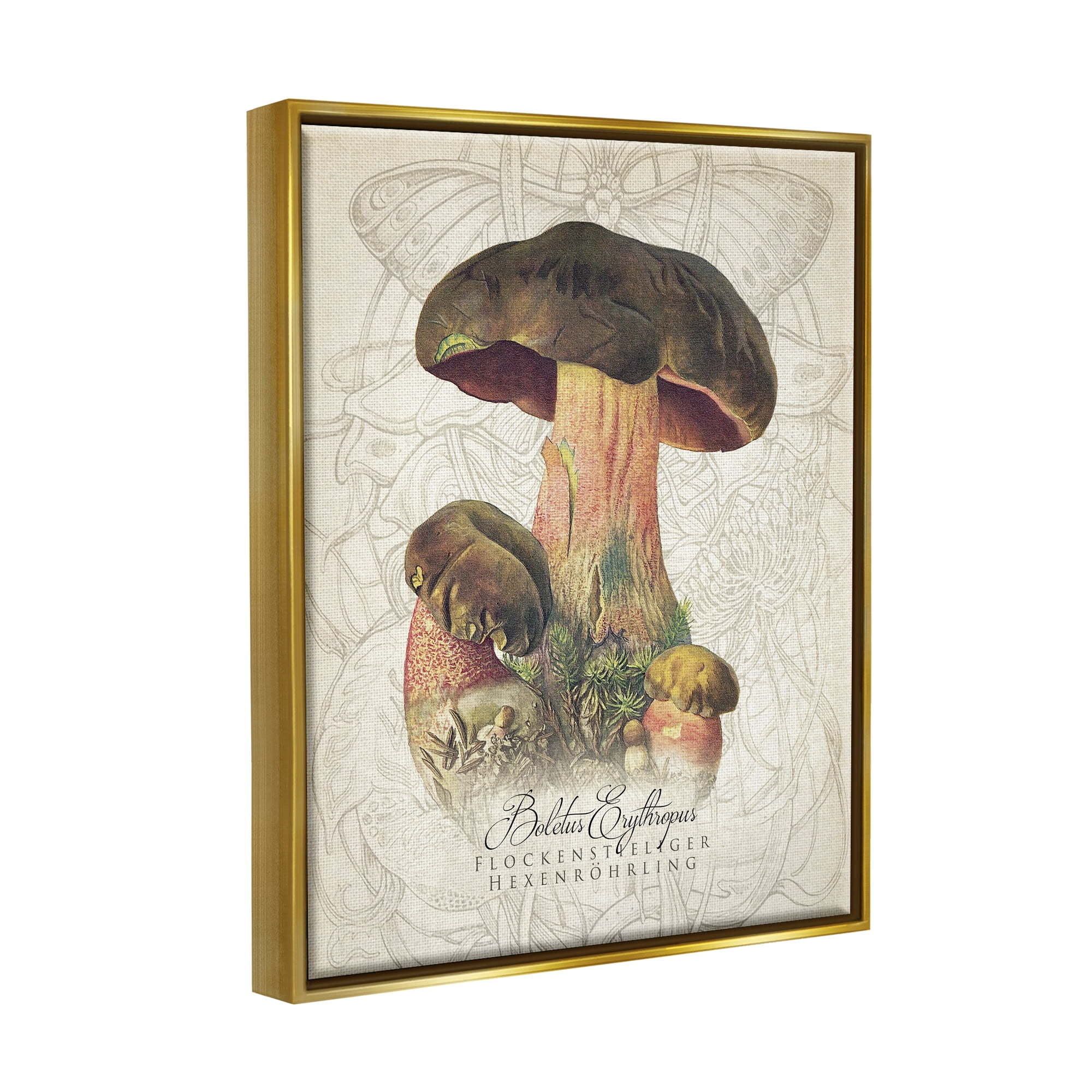 Stupell Industries Vintage German Nature Mushroom Botanical & Floral Painting Gold Floater Framed Art Print Wall Art