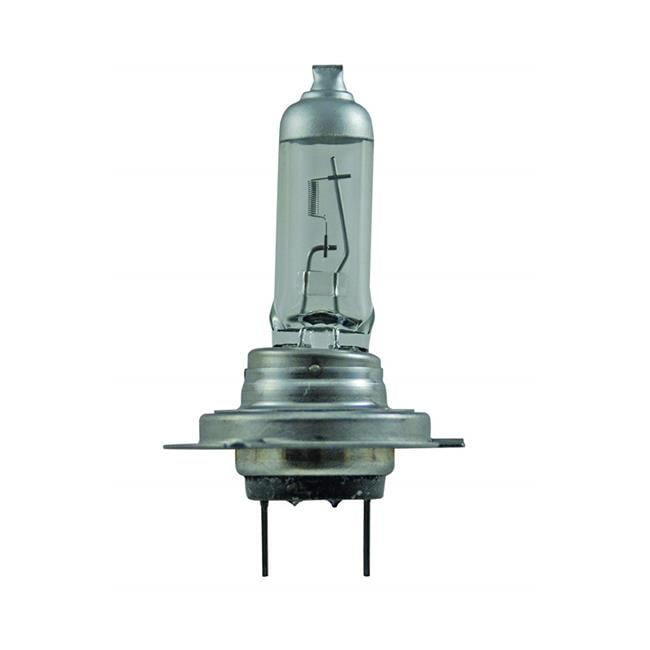 Hella H7P50 12V H7 Front Headlight Bulb
