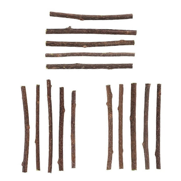 15Pcs Natural Silvervine Sticks for Catnip Sticks Matatabi Chew Sticks Teeth Molar Chew Toys for Cat