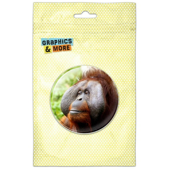 Orangutan Great Ape Refrigerator Button Magnet