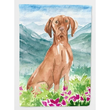 Carolines Treasures CK2535CHF Mountain Flowers Vizsla Flag Canvas House Size  Large multicolor