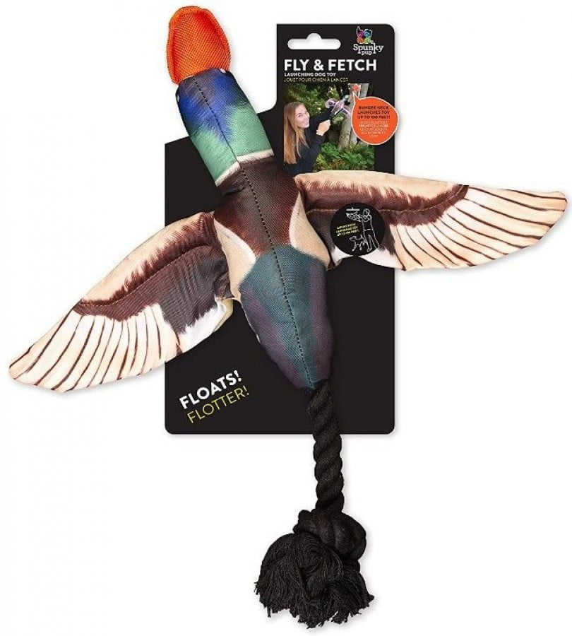 duck dog toy walmart