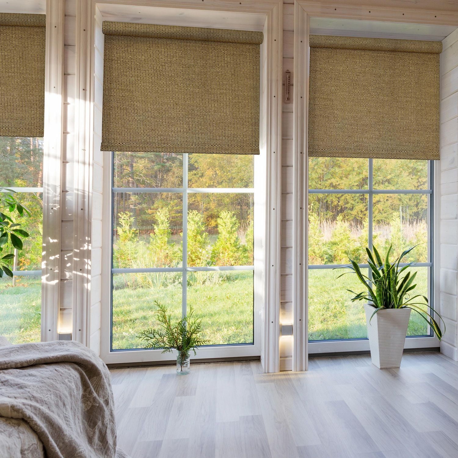 Versailles' Marcellus Cordless Roller Shades (24in x 72in)