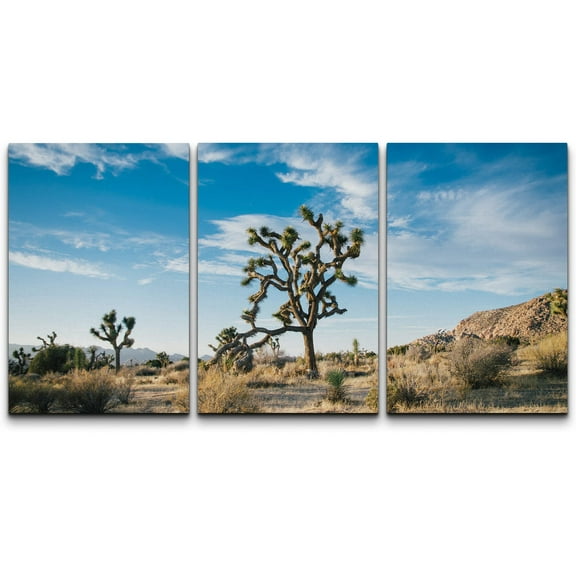 wall26 Canvas Print Wall Art Joshua Tree Desert National Park Landscape Nature Wilderness Photography Modern Art Rustic Scenic Relax/Calm Multicolor for Living Room, Bedroom, Office - 16"x24&quo