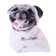 thumbnail image 2 of Dog Plush Toy Dog Shaped Pillow for Decoration Lovely Cartoon Design, 2 of 5