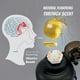 thumbnail image 3 of Botella Con Fragancia Frutas Capacidad 2000ml A Prueba Fugas para Y Fitness, 3 of 9