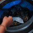 thumbnail image 5 of Dead Down Wind Unscented Dryer Sheets - 30ct, 5 of 7