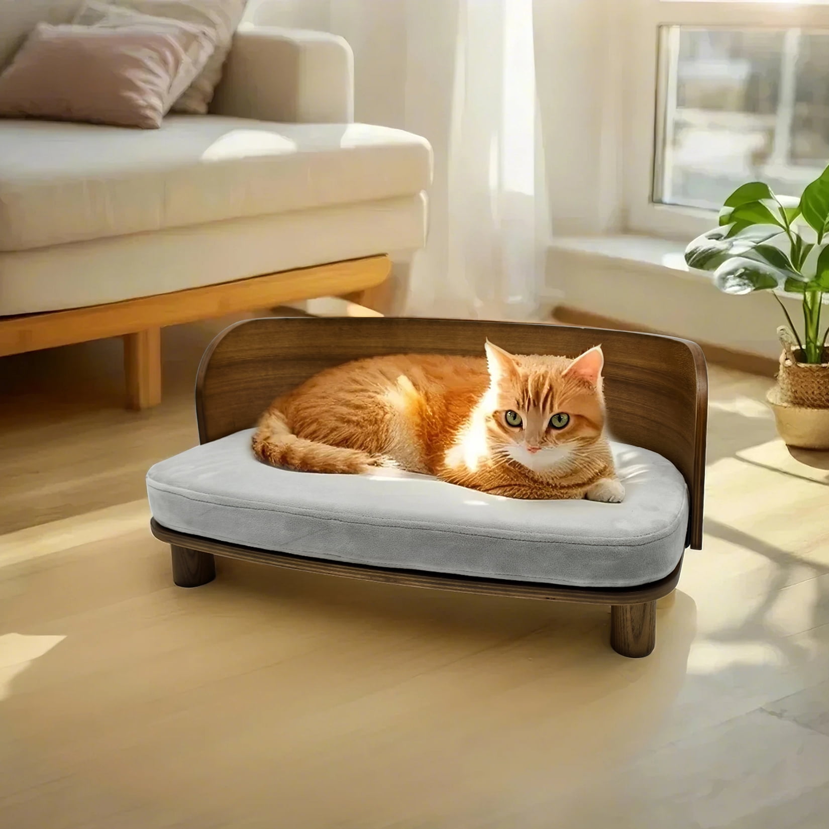 BingoPaw Elevated Pet Sofa Bed Wooden Cat Stool Bed for Small Dogs and Puppies, Waterproof, Removable Cozy Pad