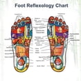 thumbnail image 3 of 40Pcs Rana Pads, Natural Cleansing Foot Pads, Pure Natural Ingredients, 3 of 5