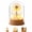 D, variant on Dandelion Glass Dome Light, Warm Ambient Floral Decor with Cork Base, Botanical Table Lamp for Bedroom, Desk, Shelf