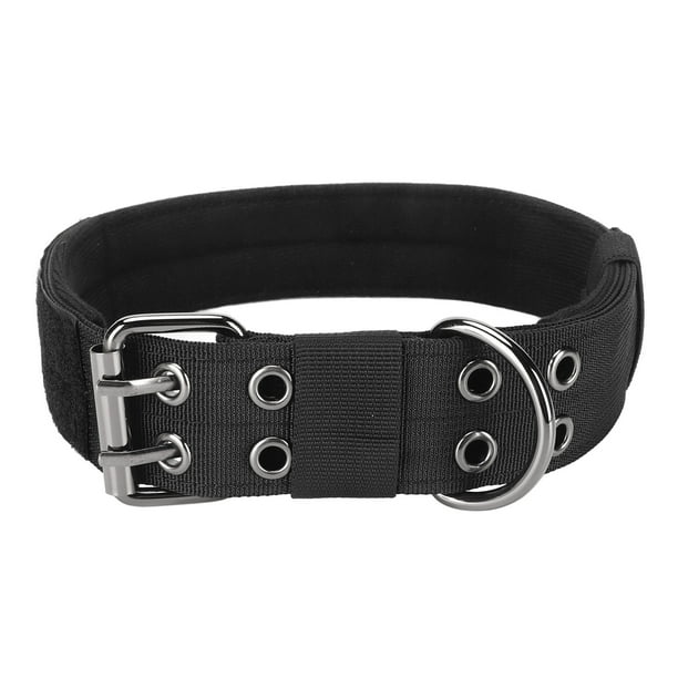 Dog collar 2024 belt buckle