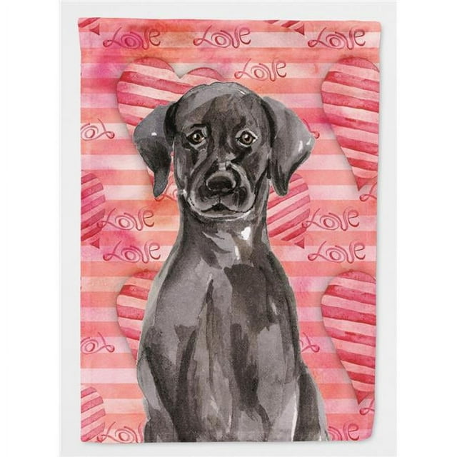 Carolines Treasures BB9468CHF Noir Labrador Amour Drapeau Toile Maison