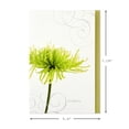 thumbnail image 2 of Tarjetas de condolencia Hallmark, 12 diseños florales, 13 x 18 cm, 2 of 9