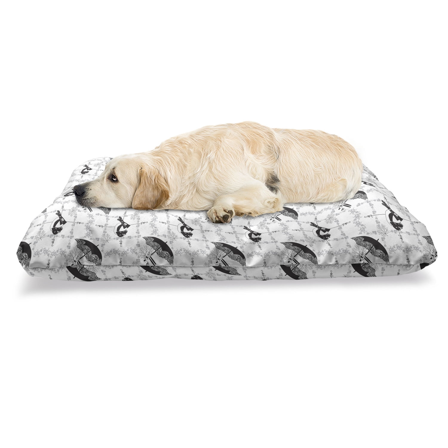 Why Do Dogs Take Shoes To Their Bed