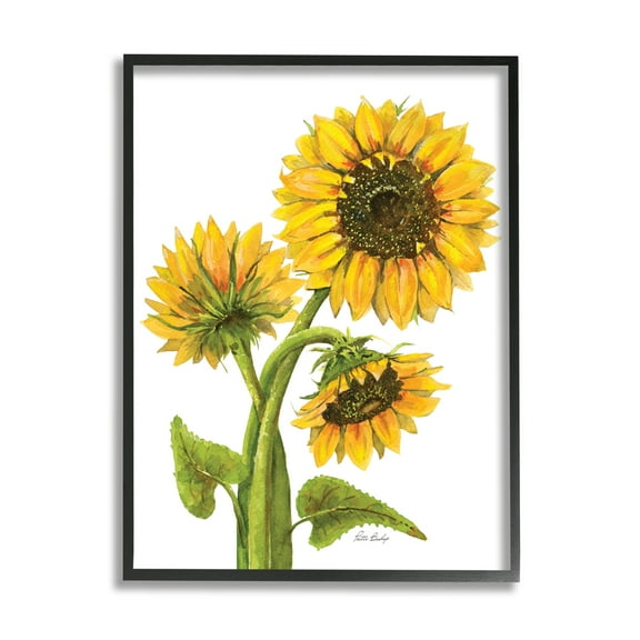 Stupell Industries Sunflower Trio on White Botanical & Floral Painting Black Framed Art Print Wall Art, 11 x 14