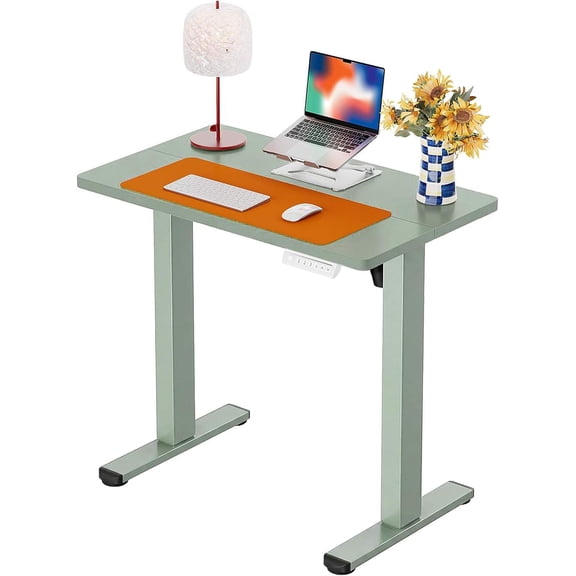 Height Adjustable Electric Standing Desk, 32 x 19 Inches Sit Stand Desk with Memory Function, Green