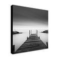thumbnail image 3 of Trademark Fine Art Dave Macvicar Leuty Canvas Wall Art - 35x35, 3 of 5