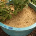 thumbnail image 3 of GARDENERA Premium Rice Hulls - Sustainable Gardening Essential for Improved Water Retention and Nutrient Absorption - 3 QUARTS, 3 of 4