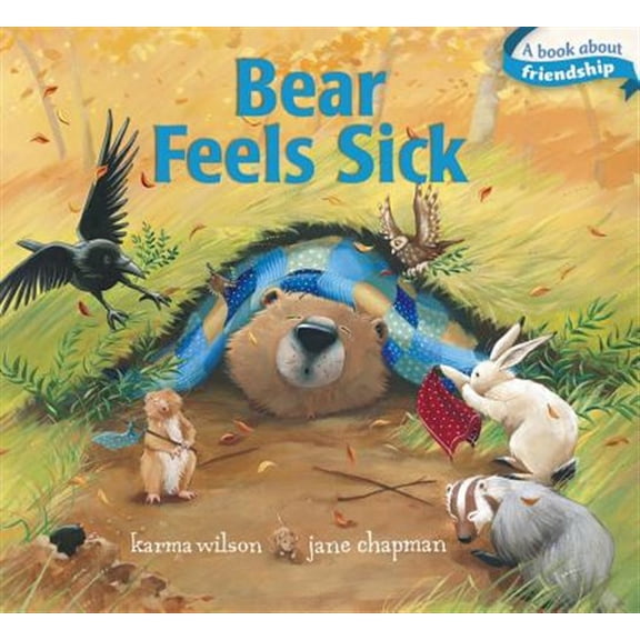 Pre-Owned Bear Feels Sick (Board book) 1442440937 9781442440937