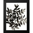 thumbnail image 2 of Bragg, Janel 15x18 Black Modern Framed Museum Art Print Titled - Botanical with Nagi Fern No. 2, 2 of 5